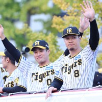 阪神タイガース STAFFジャケット 2023年優勝パレード 阪神タイガース STAFFジャケット 2023年優勝パレード