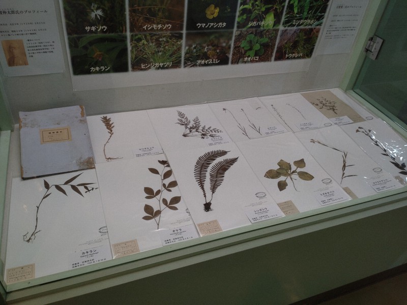 父が選んだ息子の遺品は植物標本 80年以上前の戦中に生きた証し | 毎日新聞