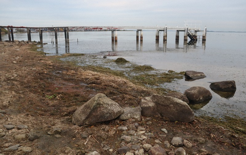 琵琶湖の水位低下により姿を現した坂本城跡の石垣の一部＝大津市で2023年11月27日午後4時16分、菊池真由撮影