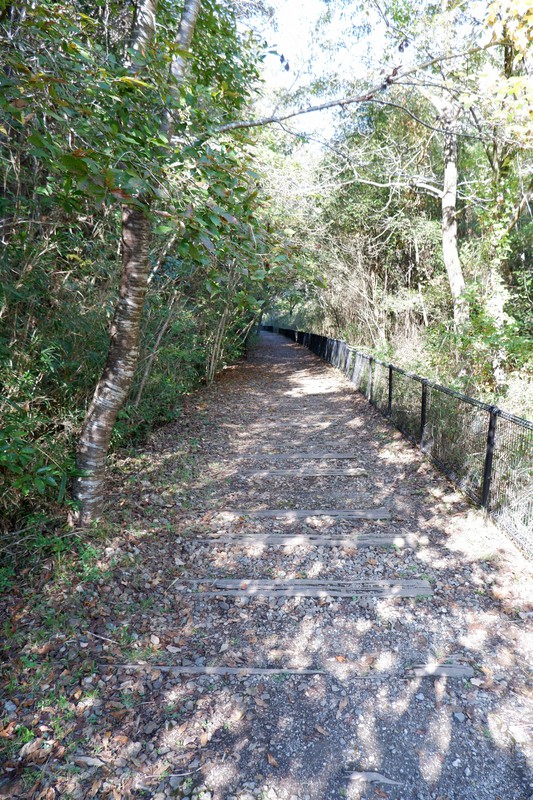 枕木が残る道 紅葉を探しながら歩く JR福知山線廃線跡 | 毎日新聞
