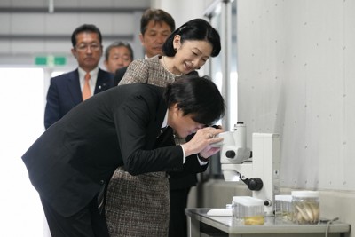 シラウオの卵を顕微鏡で観察される秋篠宮ご夫妻＝茨城県行方市で2023年11月11日午前9時46分（代表撮影）