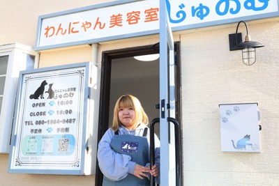 ペットサロンや、幼稚園にいかが？シンク☆ お家猫シャンのNG行為🙅🏼 猫はとってもビビっ子です。 ポイントは