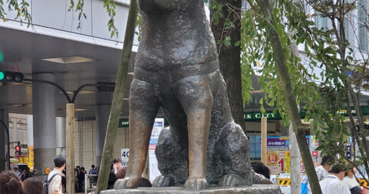 銅像 秋田犬 金箔850枚使った秋田犬の親子像 忠犬ハチ公のふるさとで常設展示
