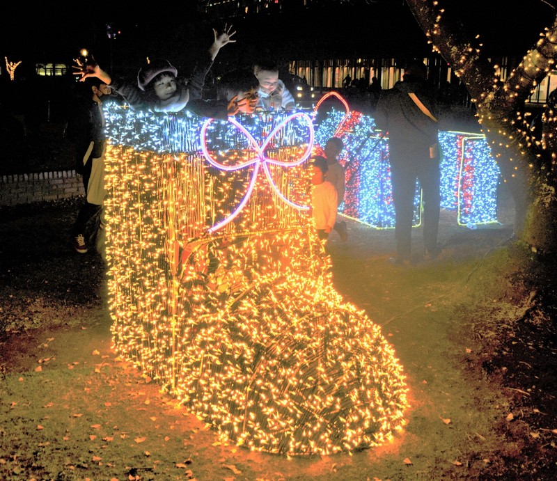 イルミネーション3万球が冬の街彩る 宮崎・JR日向市駅前 | 毎日新聞