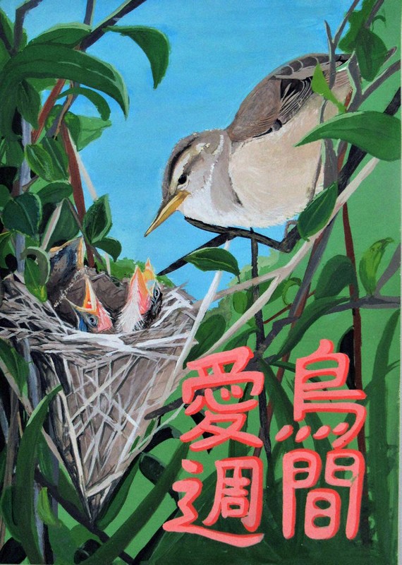 愛鳥ポスターコン 長浜の光田さん 中学校の部入選 ／滋賀 | 毎日新聞