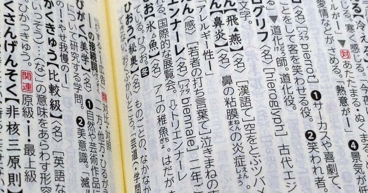 出合って 言葉の面白さ 三省堂「高校教科書密着型」国語辞典 「ぴえん