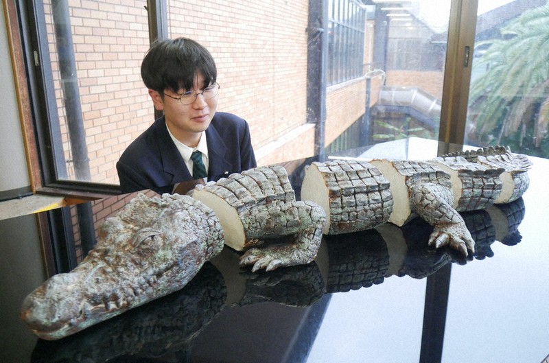 環境変化を斬る 今を伝える高校生、二科展で入選の陶製ワニを展示 誠恵