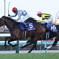 ［競馬］ドウデュース（2023年有馬記念）ミニゼッケン／JRA中山競馬場 ドウデュース 有馬記念 ミニゼッケン JRA 中山競馬場｜Yahoo