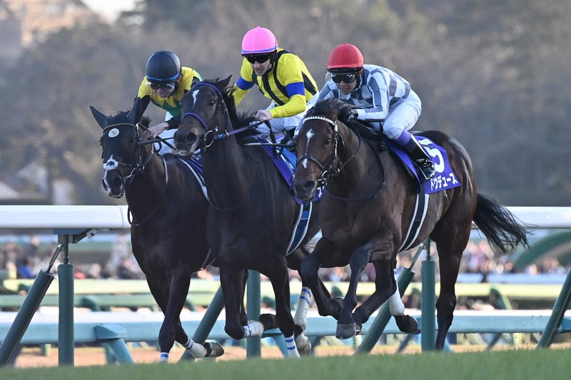 第68回 有馬記念 [写真特集1/4] | 毎日新聞