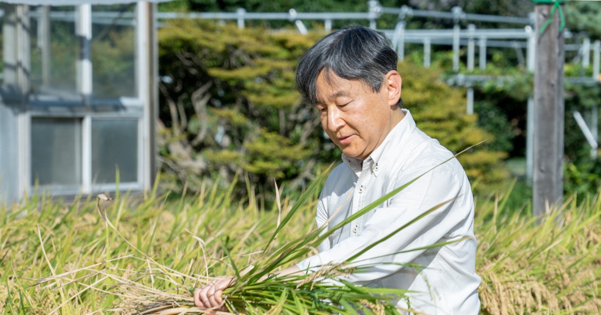 深まる危機：「無理、矛盾が露呈」 法制史学者から見た皇室典範とその