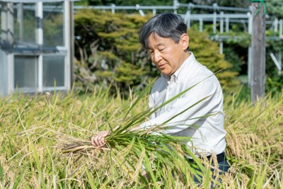 天皇財閥 皇室による経済支配の構造』 ｜ 学研出版サイト
