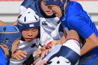 京都成章ラグビー 🏉京都成章高校ラグビー部 公式戦告知🏆 第105回 全国高校ラグビー大会