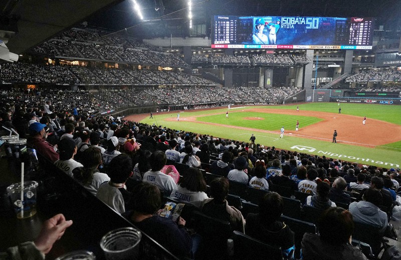 2023シーズン エスコンフィールド北海道 硬式ボール