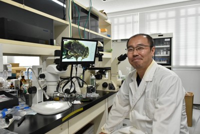 東京大學等團隊發現與流感病毒增殖相關基因，新藥開發可期