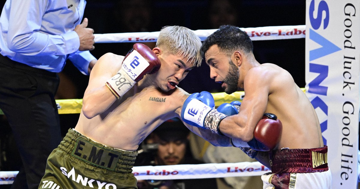 井岡一翔選手　サイン入りグローブ　レア　ボクシング　左手のみ 井岡一翔がミット打ち写真公開 インスタのストーリーズ機能で