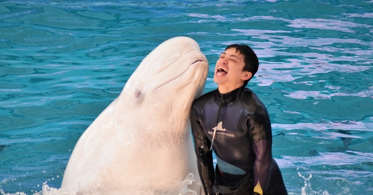 ♦イルカのパラダイス♦1点物 ♢イルカのパラダイス♢1点物