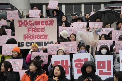 「さよなら犬食用」などと書かれたプラカードを手に、犬食用禁止法の支持集会に参加する動物愛護の活動家ら＝ソウル市内で2024年1月9日、AP