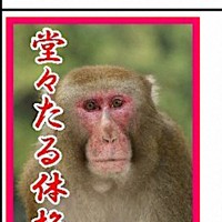 推し」のサルに1票 大分・高崎山自然動物園で総選挙 15日まで [写真