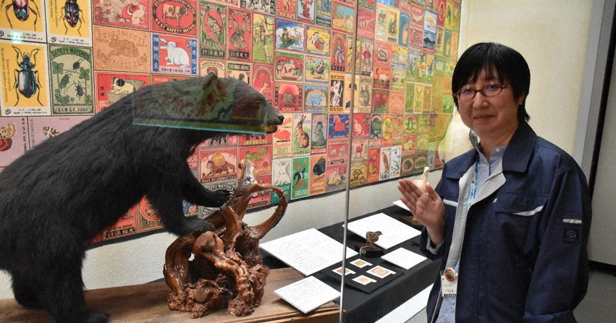 千葉＝クマなし県 くまなく探せど「証拠なし」 平らな地形、生息適さず