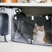 避難用のキャリーバッグの中には、バッグを展開すると猫が過ごせるケージになる商品もある＝リオニマル提供
