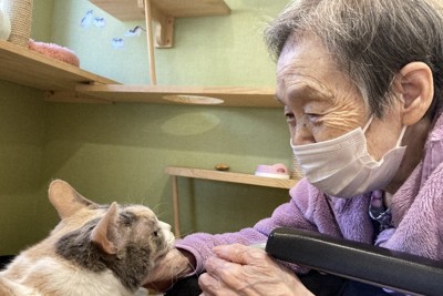 人生100年クラブ：将棋駒を愛する人たち 作ったり鑑賞したり | 毎日新聞