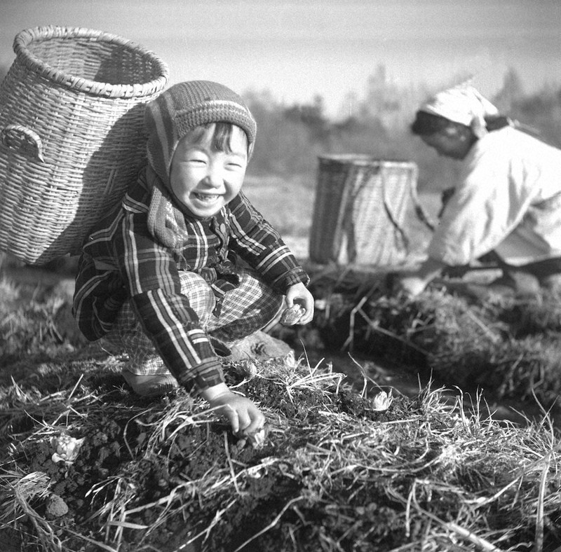 蔵出しPhotoアーカイブ：あの日の紙面 笑福 喜色あふれ 1985 正月