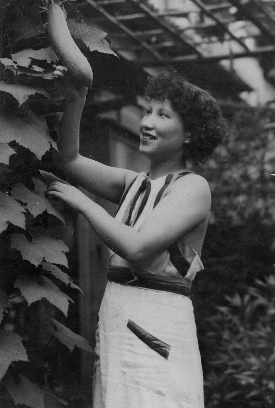 ブギウギの時代からの伝言 社会から失われたものとは | 令和の幸福論