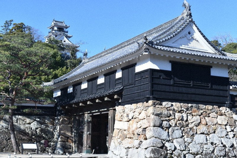 わたしのふるさと便：お国トリビア 高知県 国宝じゃなくても県民の宝