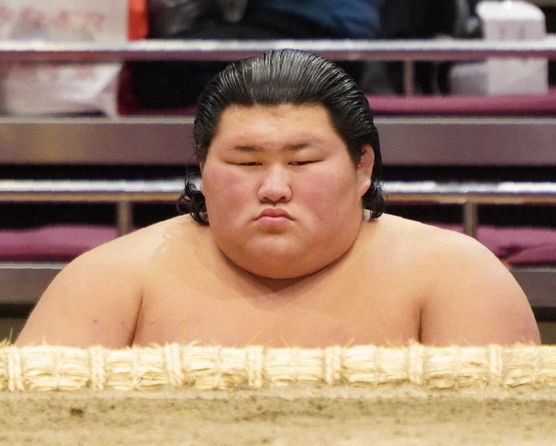 平成１９年大相撲初場所 幕内力士絵 平成19年大相撲初場所 幕内力士絵 平成19年大相撲初場所 幕内