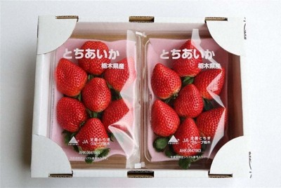 作曲家船村徹 筆文字の書 額付き 作曲家船村徹 筆文字の書 額付き 作曲