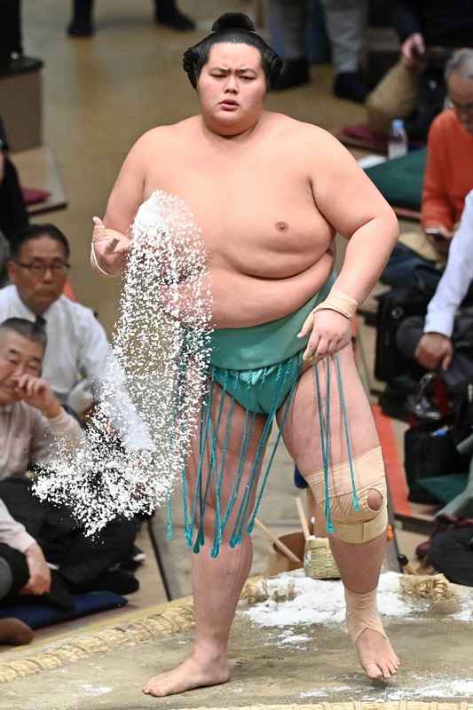 琴の若反物大相撲1反 琴の若反物大相撲1反