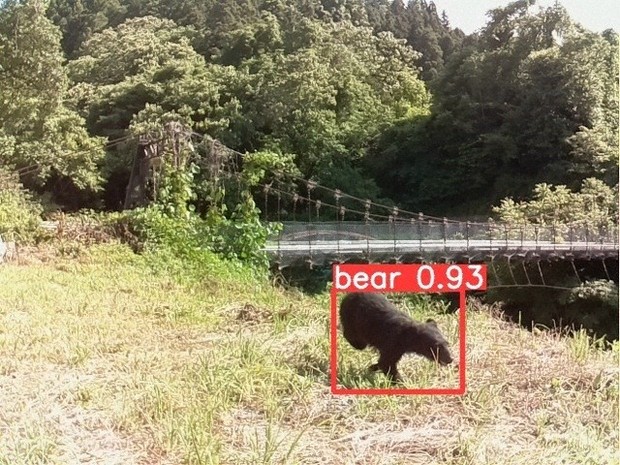 コモンエイジ・公共のかたち：／11止 クマ撃退へ、AI駆使（その1