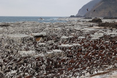 東日本」とは違う「能登」の漁村復興の難しさ | 毎日新聞