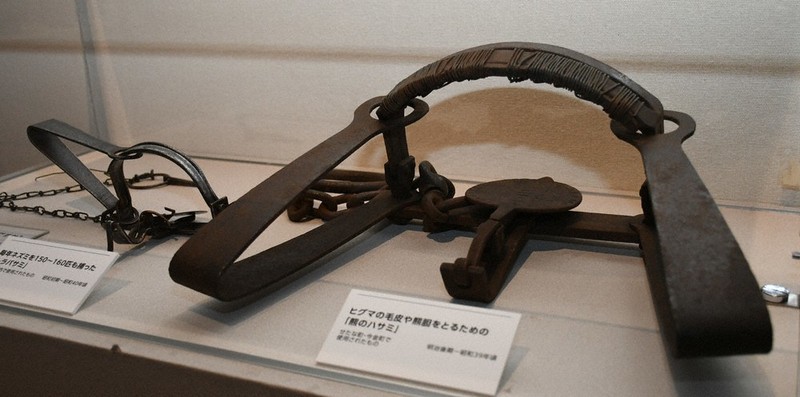 70年前の風景実写フィルム、自作のアイヌ民具「刀帯」 学芸員の