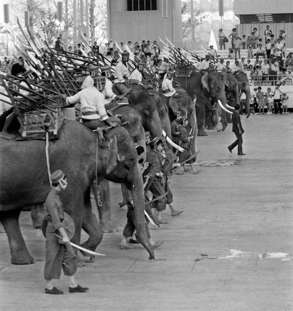 希少 インド製『アンクス(タコー)』象使い 長兵器 武器 古武具