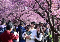 (Mainichi/Kaho Kitayama)=Click/tap photo for more images.