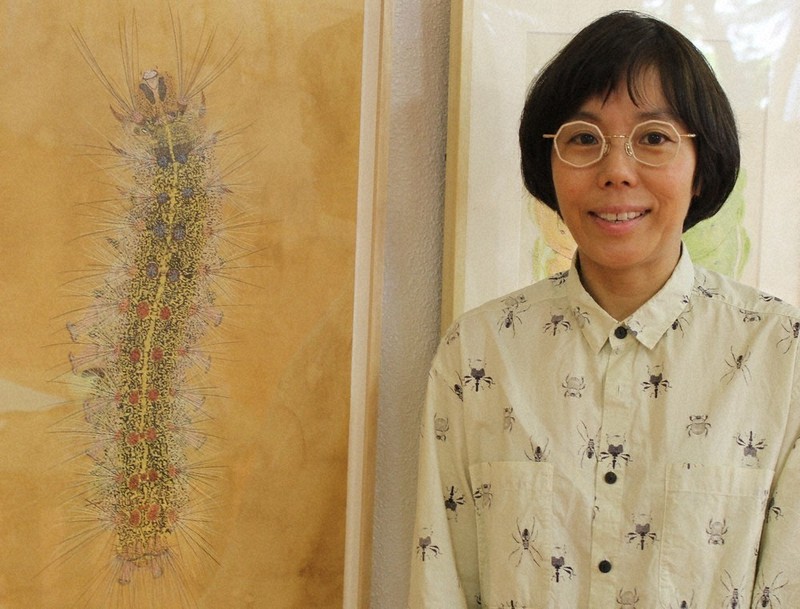 イモムシは「天の川くらい複雑」 精緻な描写で世界が評価の画家 | 毎日新聞