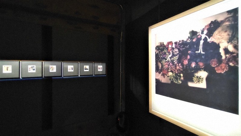 ART：荒木経惟さん、小さな日々 東京・artspace AM | 毎日新聞