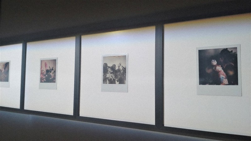 ART：荒木経惟さん、小さな日々 東京・artspace AM | 毎日新聞