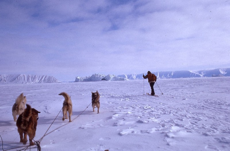 植村直己の足跡、情熱が照らす 未公開写真、北極研究者が発見 | 毎日新聞