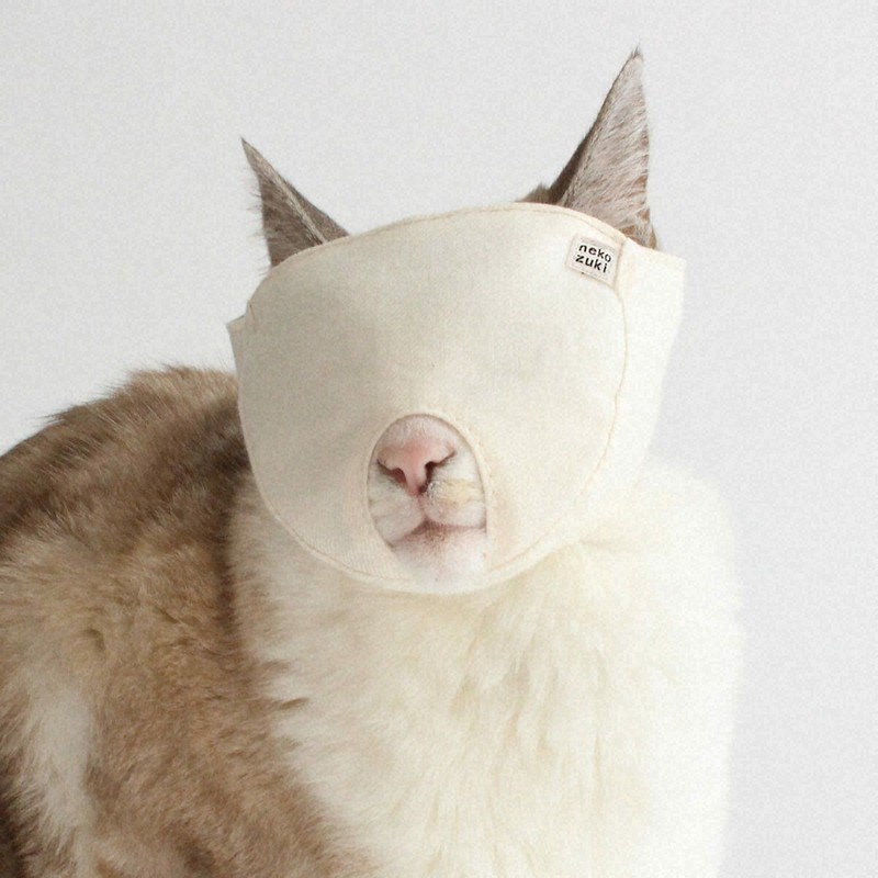 マスクチャーム  クローバー猫ちゃん 猫用マスク」売り上げ好調 顔をすっぽり、その用途は… [写真特集1/8