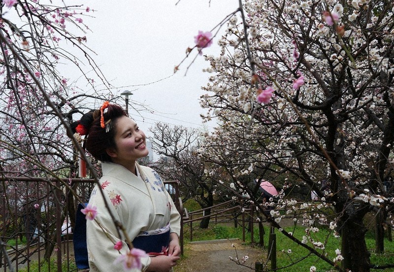 伝統の日本髪、梅と共に 神戸で「まつり」 開花例年より早く ／兵庫