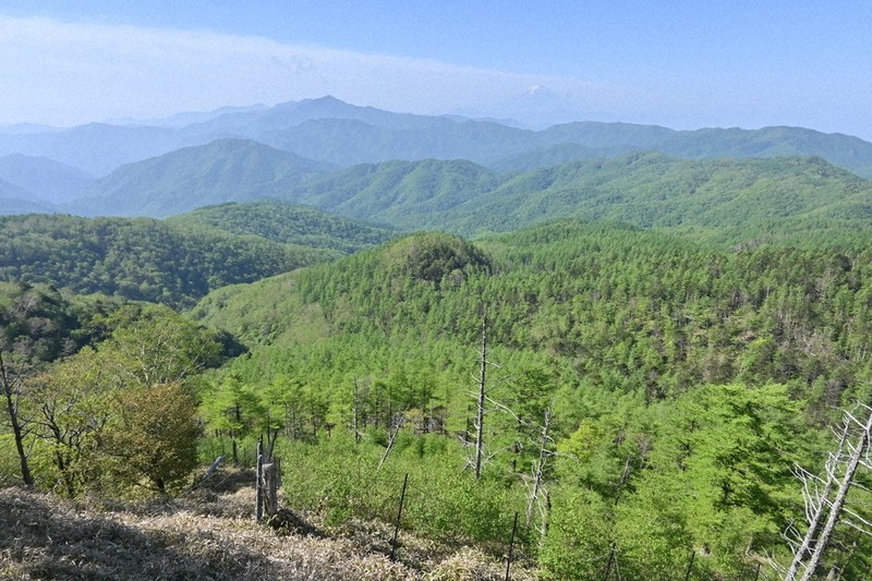 明治中期頃 焼き絵 山スキー 厳冬期 焼石岳 山スキー - 登山