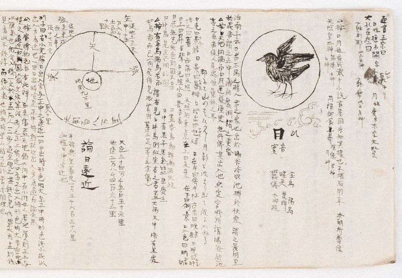 わたしのふるさと便：イチオシマップ 和歌山県 田辺市など「南方熊楠の