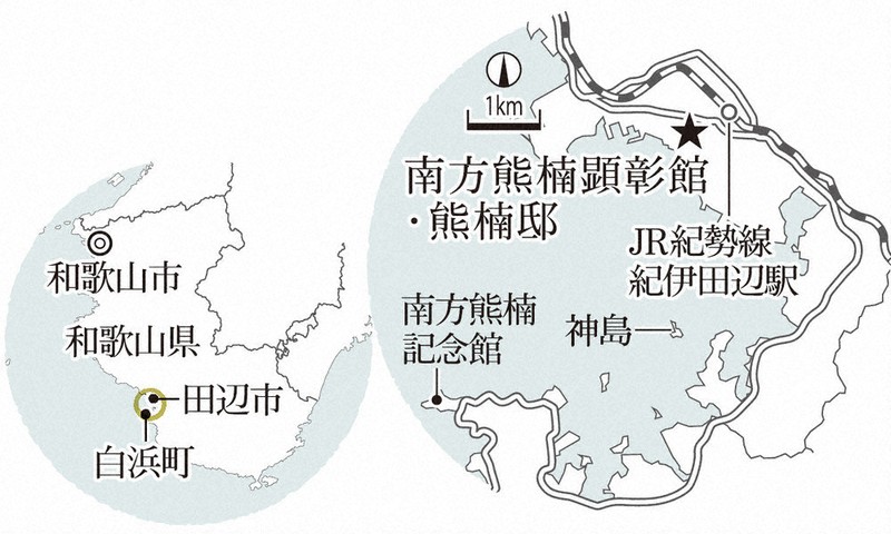 わたしのふるさと便：イチオシマップ 和歌山県 田辺市など「南方熊楠の
