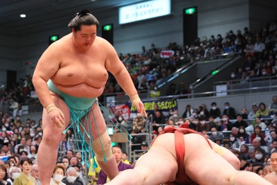 琴ノ若（左）がはたき込みで熱海富士を降す＝エディオンアリーナ大阪で2024年3月10日、長谷川直亮撮影