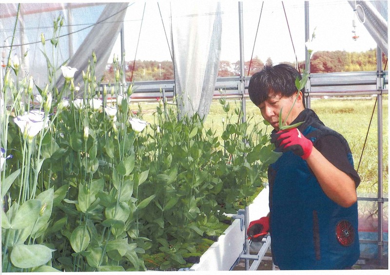 電設会社の努力が“開花” 浪江でトルコギキョウの新品種を栽培 | 毎日新聞