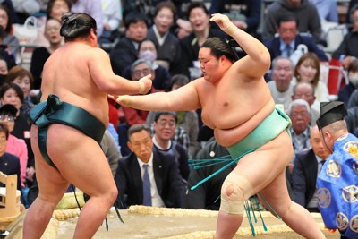 琴ノ若（右）が突き出しで錦木を降す＝エディオンアリーナ大阪で2024年3月12日、長谷川直亮撮影