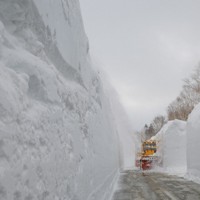 「雪の回廊」の開通に向け、雪の壁を削りながら進むロータリー除雪車＝青森市で2024年3月15日午前10時5分、近藤卓資撮影