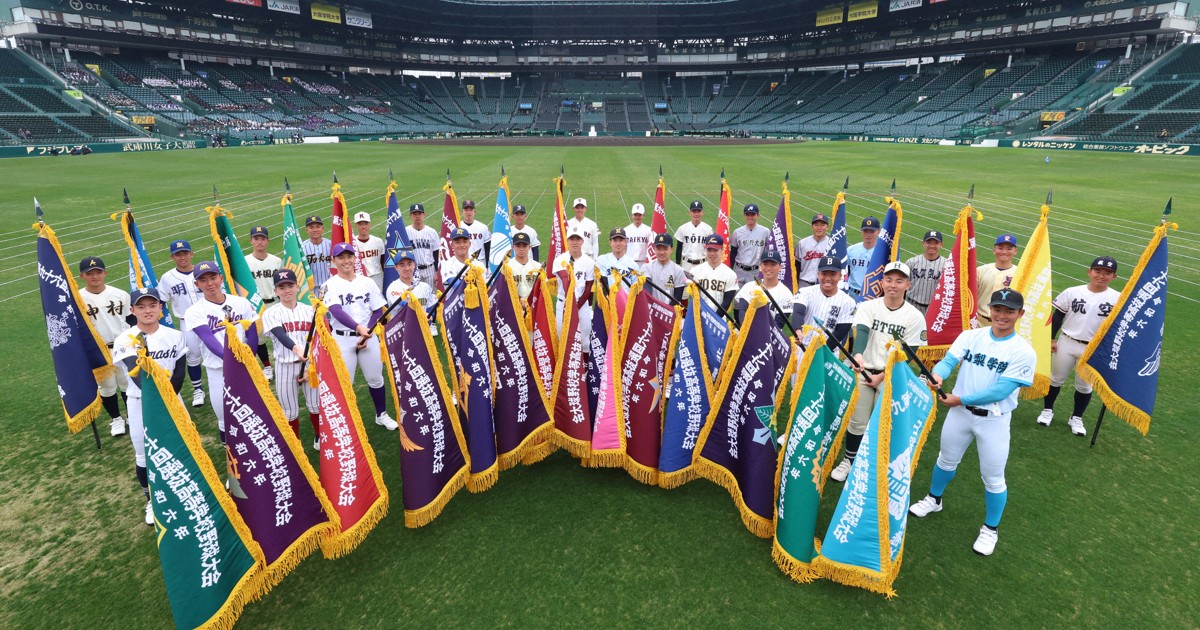 甲子園のボール 高校野球 高校野球 甲子園出場記念ボール 群馬県高崎商業高校 第66回 全国